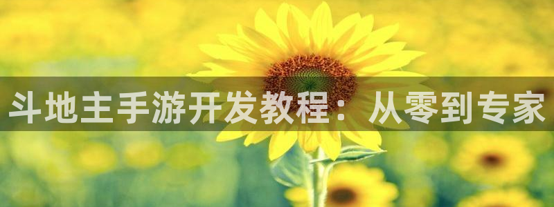 摩根娱乐娱乐官网入口：斗地主手游开发教程：从零到专家