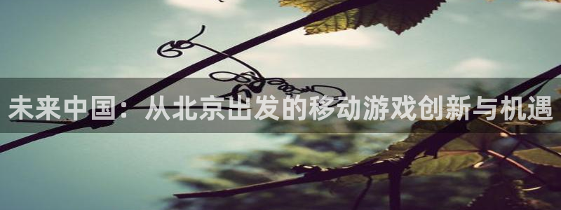 摩根娱乐这个平台怎么样啊知乎：未来中国：从北京出发的移动游戏