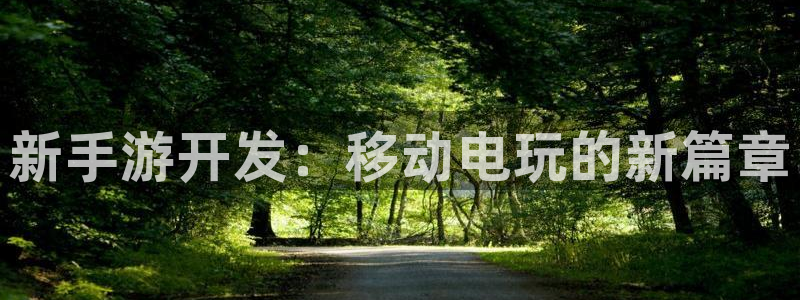 摩根娱乐网址：新手游开发：移动电玩的新篇章