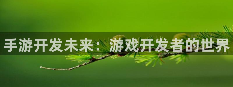 摩根娱乐挂机教程视频：手游开发未来：游戏开发者的世界