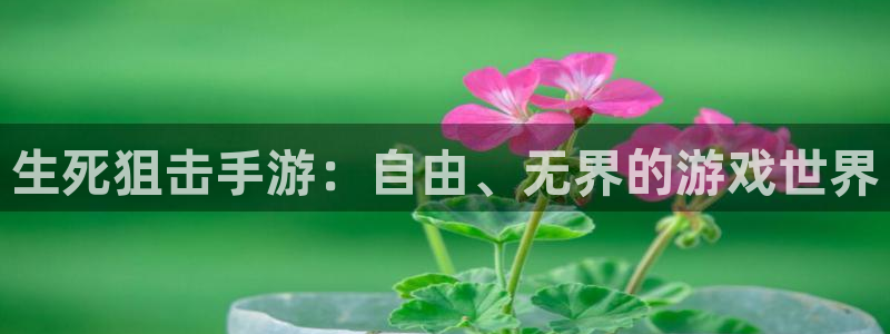 摩根娱乐网址是多少：生死狙击手游：自由、无界的游戏世界